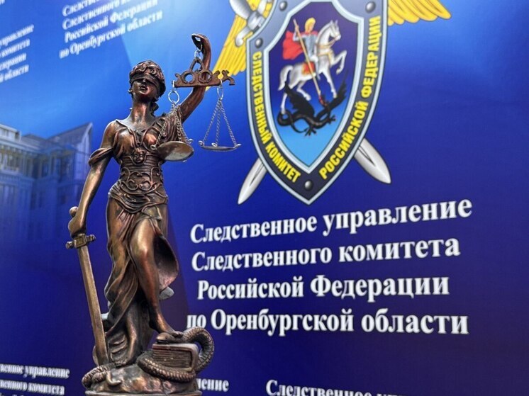 В Оренбурге экс-чиновник УЖКХ осужден за гибель ребенка от нападения собак