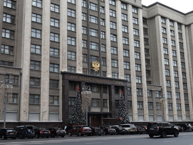 Эксперты раскритиковали инициативу властей
