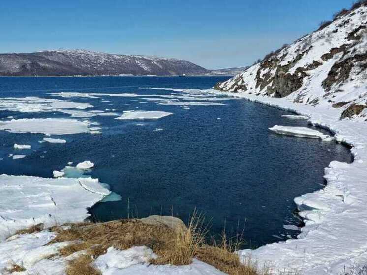 Он шёл по берегу моря, выбирая очередное место для съёмки, когда из моря донеслась эта песня