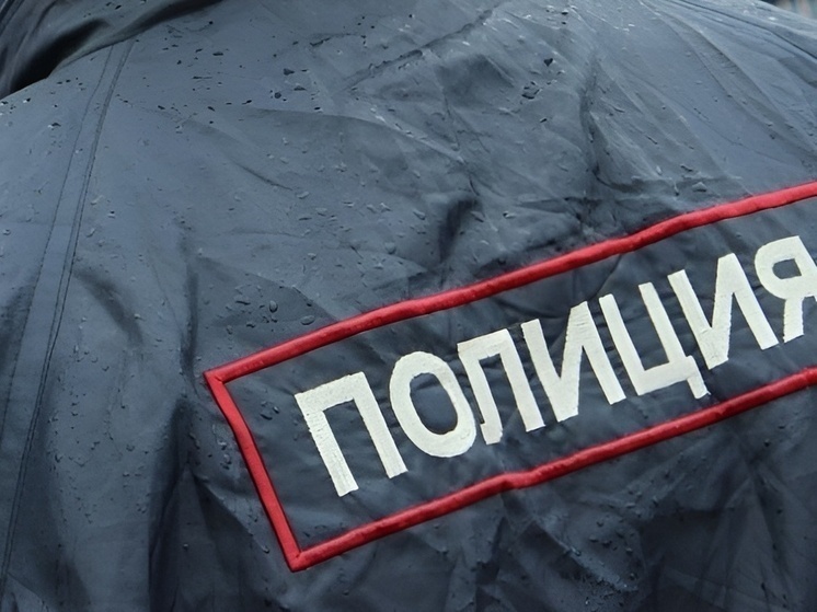 В Москвe полицейские задержали грабителей и ограбленного ими курьера-мошенника
