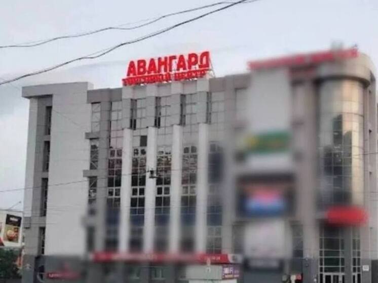 Ленинский районный суд Владивостока запретил эксплуатацию торгового центра «Авангард», принадлежащего бизнесменам Алексею Ясину, Сергею Матвееву и компании АО «ТрансВиндФлот»